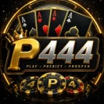 P444 Game