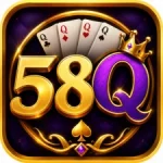 58Q