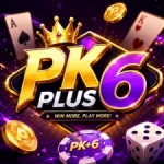 PKPLUS6