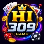 HI309 Game